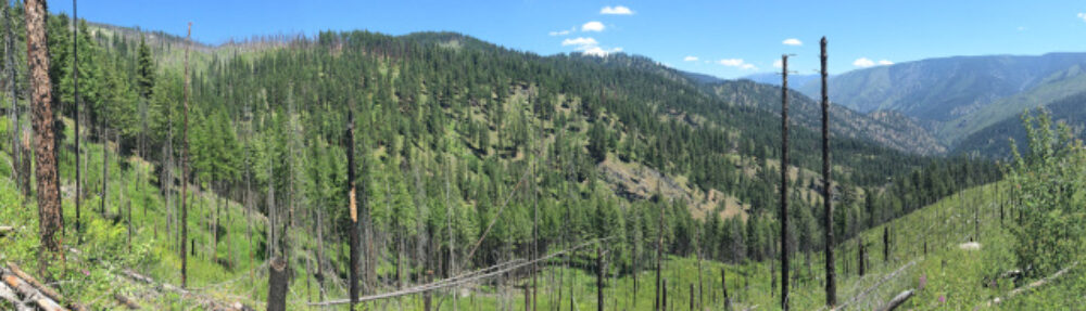 North American Forest Ecology Workshop